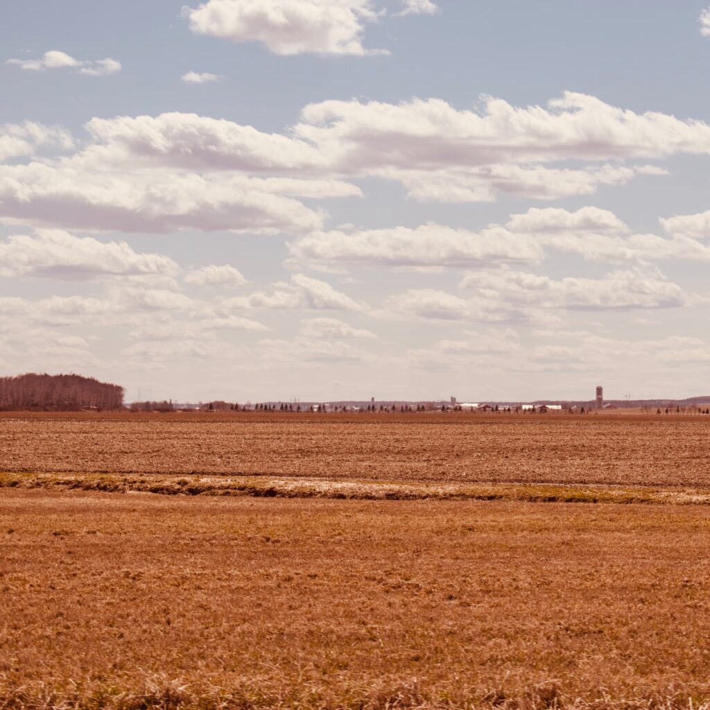 brown field under white clouds during daytime